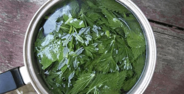 Behandlung für Haarausfall mit Volksmitteln